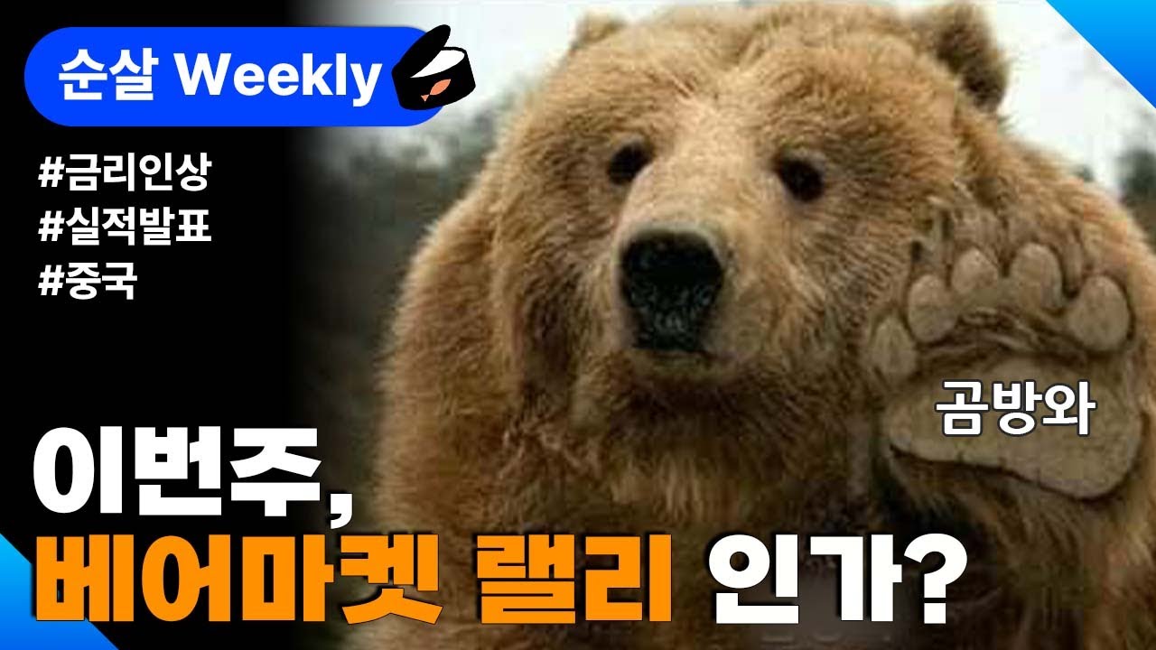 [순살 위클리] 베어마켓 랠리? / 유럽 금리인상 / 횡재세 / 중국 보조금