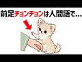 犬がよくやる行動を人間語にすると15選【犬の雑学】