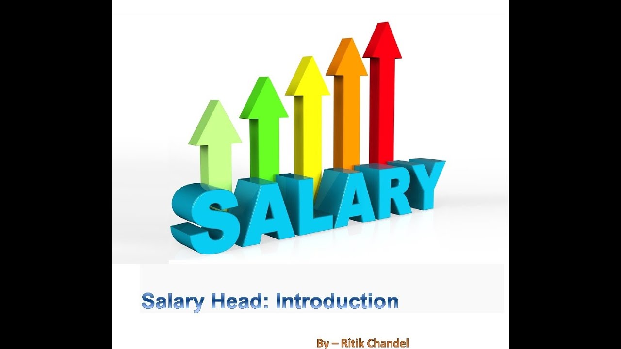 salary-head-introduction-income-tax-quick-revision-youtube