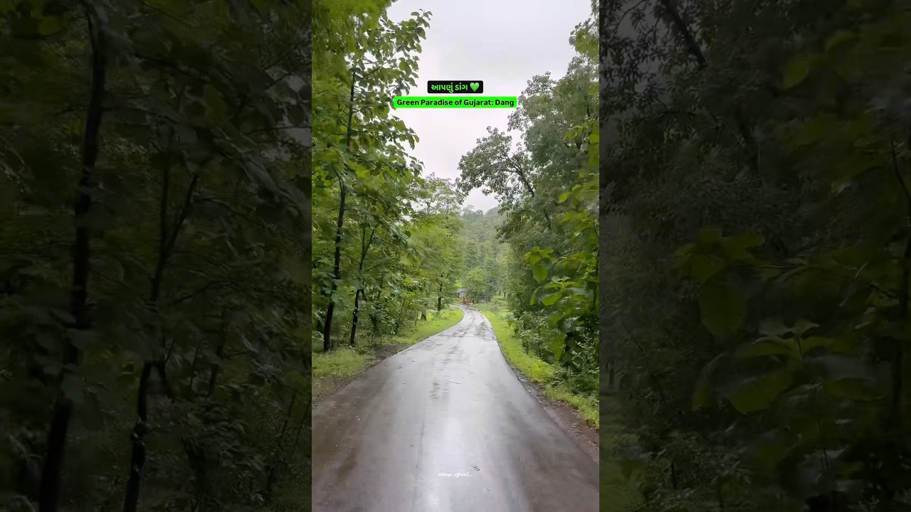 Dang Forest Road Trip on Bike 🏍️ | गुजरात के सबसे घने जंगलों में राइड 😍