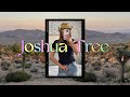 48 Hours in Joshua Tree