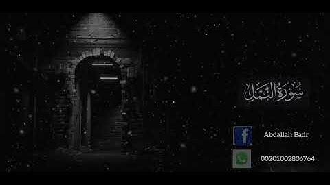 سورة النمل ( الشيخ عبدالله بدر )