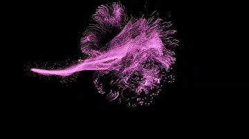 Fluid Particle Animation | Free Motion Graphics | 4K UHD