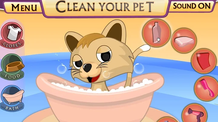 Video 5500111: kitty bath, bathing funny, cute kitten, pets