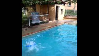 Piscina-Que Apunteria