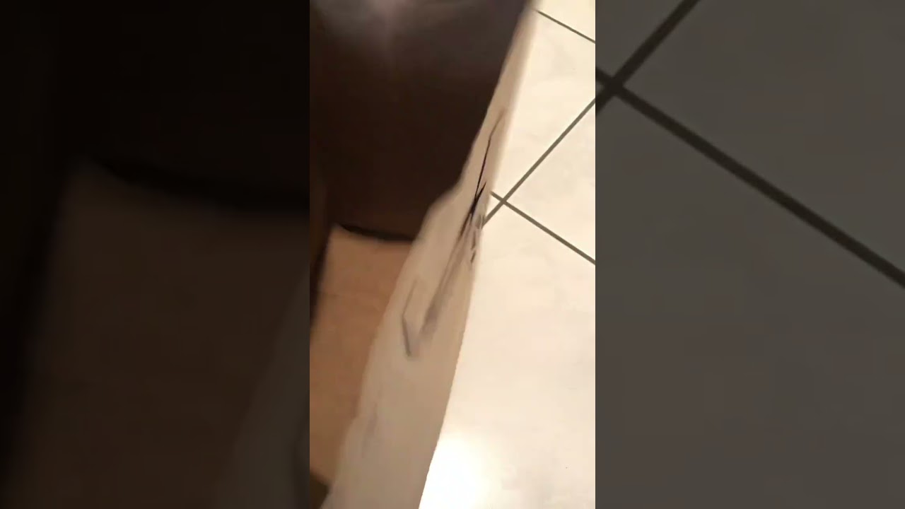 ALDI Shopping Bag options