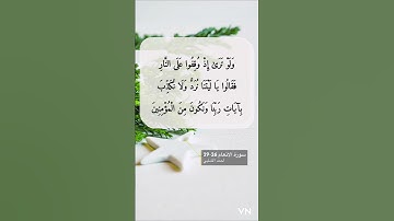 سورة الانعام الايه 26-29