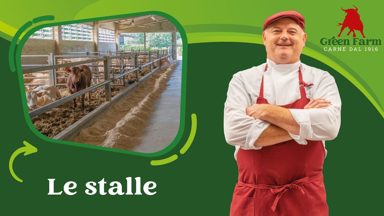 Green Farm Azienda Agricola | Parte 1: Le stalle