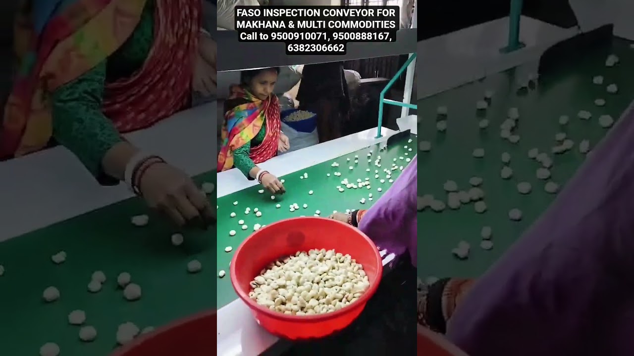 FASO MAKHANA SORTEX/ FOX NUT SORTEX/ COLOR SORTING MACHINE/