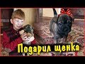 Подарил собаку Богдану. Он заплакал😭