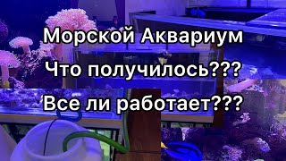 Морской Аквариум | Запуск Морского аквариума | фильтрация | самп | оборудование морского аквариума