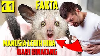 Perbedaan Manusia Dan Binatang