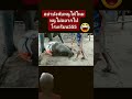 #funny elephant #funnyanimal #animals #wildlifeentertainment #babyanimal #elephant #babyelephant