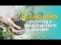 Healing Herbs: Growing a Medicinal Herb Garden