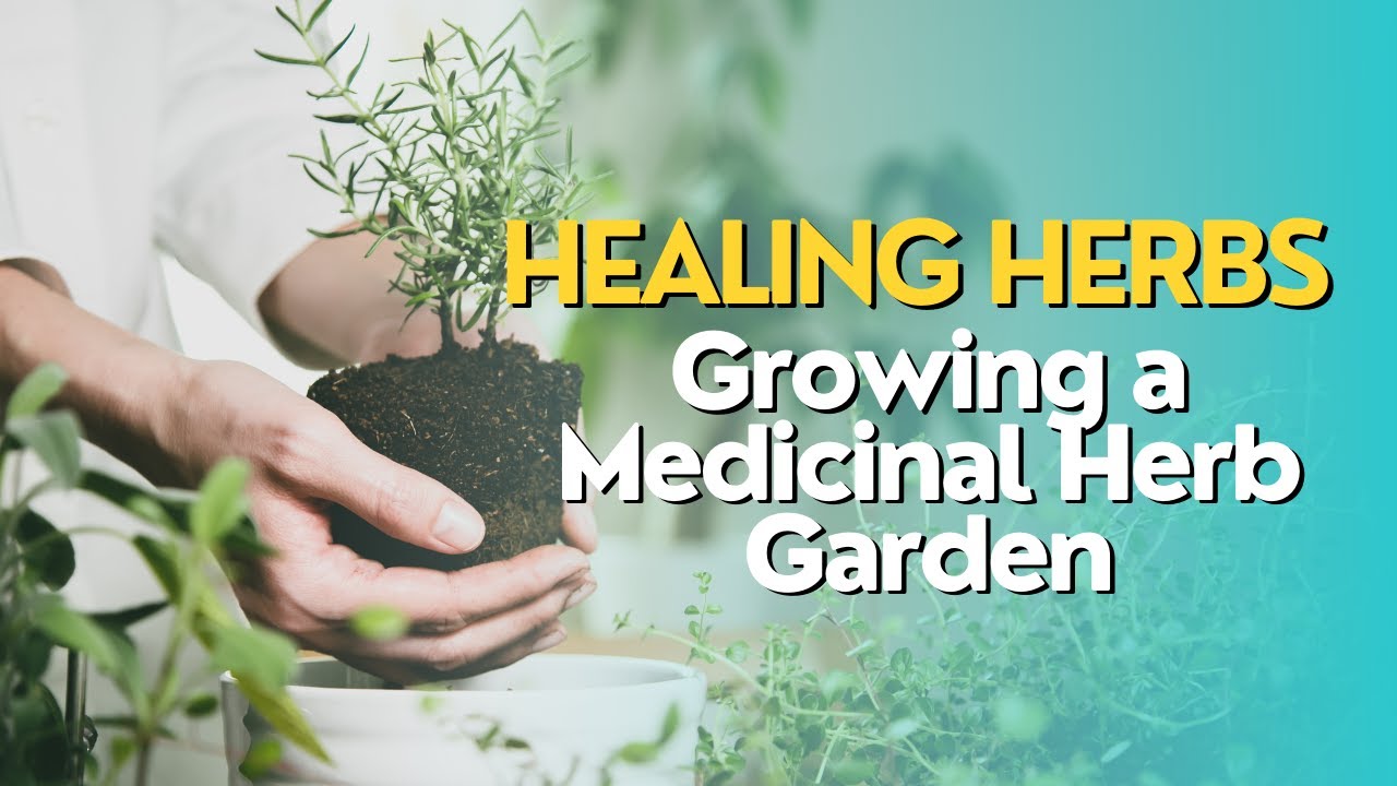 Healing Herbs Growing a Medicinal Herb Garden YouTube
