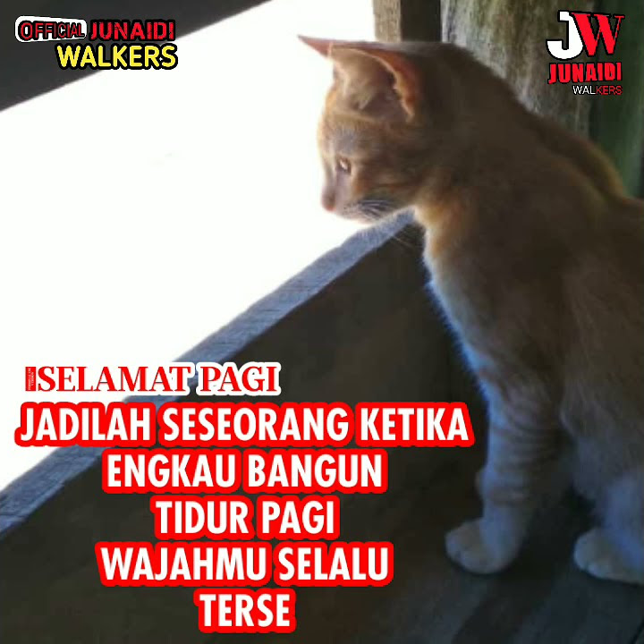STORY WA || ANDRA RESPATI