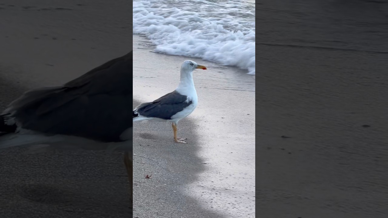 26 сентября 2025 г. Майами 💞🇺🇸