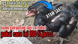 NGGAK PERLU BELI OBAT LAGI  !! SILAHKAN TES CARA INI JIKA AYAM ANDA SAKIT 100% JITU