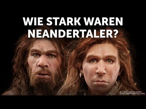 Video: Waren Neandertaler stärker als Menschen?