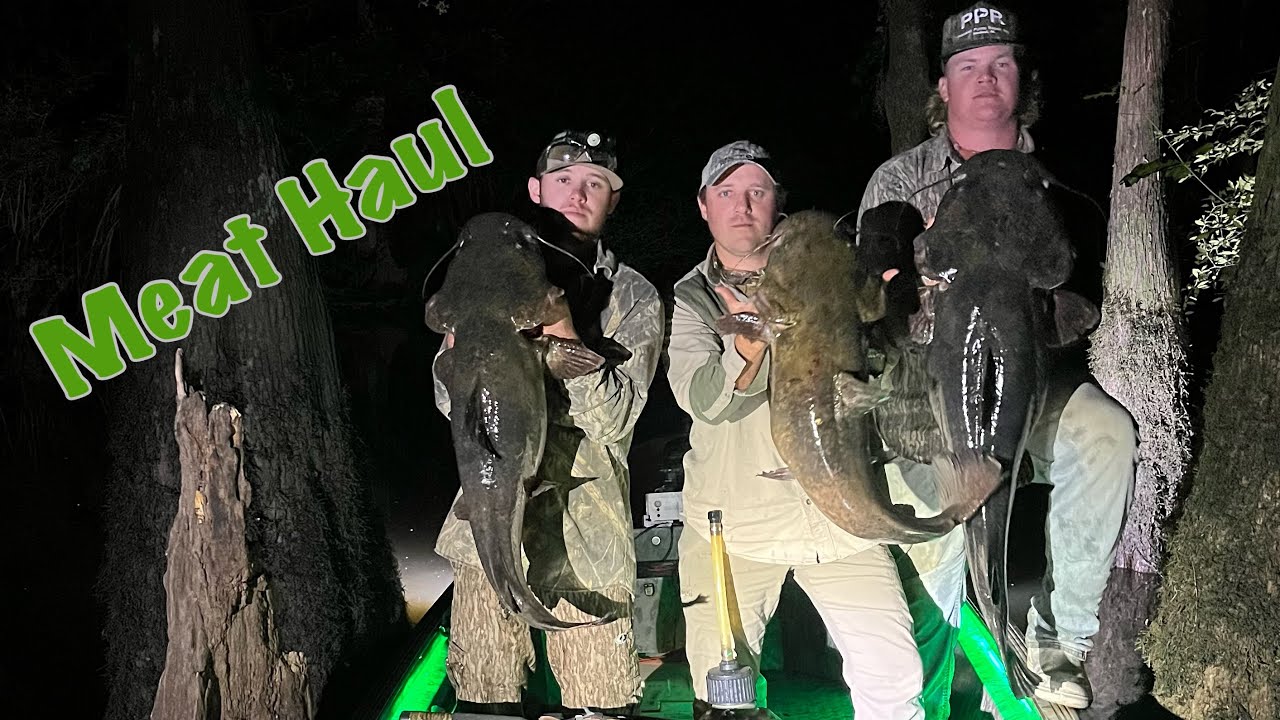 Catching Monster Flatheads one Hook at a time Catfishing Edge Duck