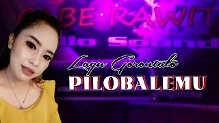 Lagu Gorontalo Pilibalemu - Live Cover Ellhenonk - Cabe Rawit Audio Sound