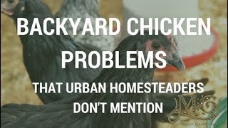 The Problem With Backyard Chickens