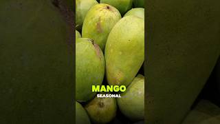 Mango Pulp Export from India | Top Buyers, Pricing & Export Opportunity