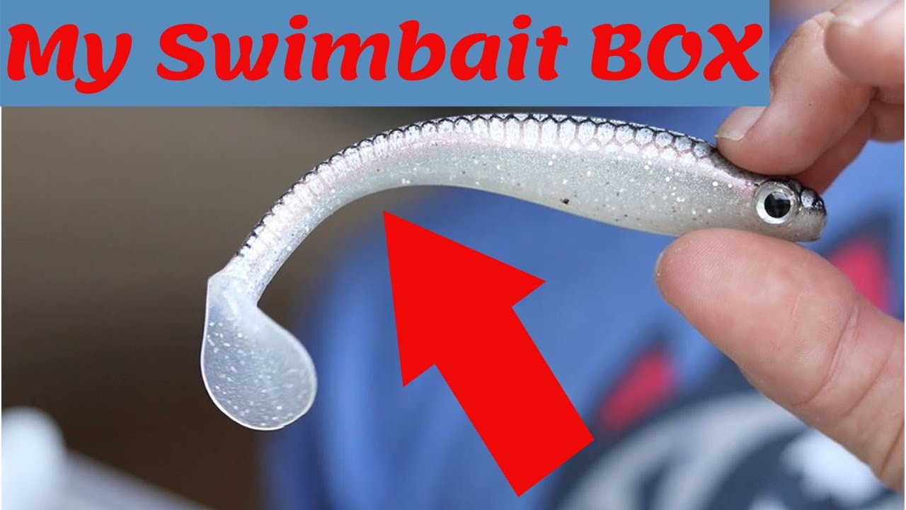 Swimbait Colors for Every Condition - True Bass Swimbaits 
