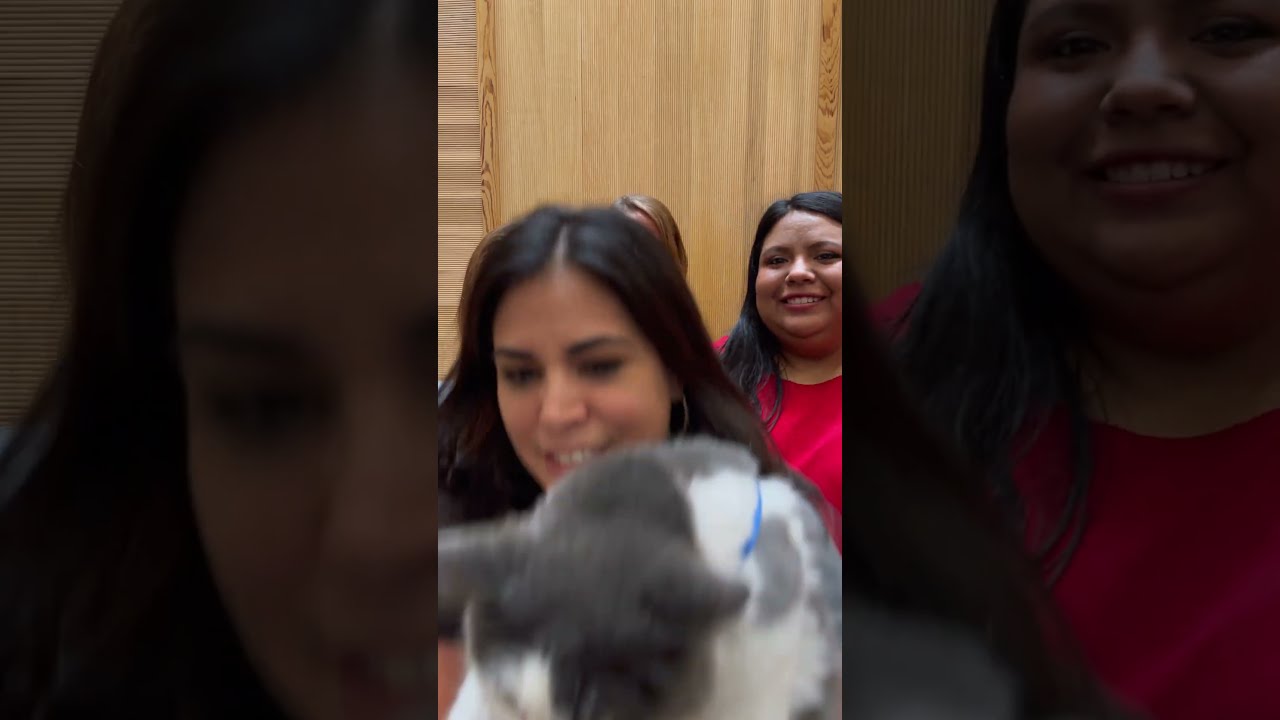 A Hot New Bombshell Joins The Journey To 11 Millionth Adoption 