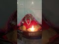 Live highlight