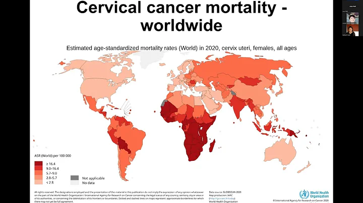 HPV Vaccination Programs for Cervical Cancer Prevention in LMICs