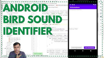 Bird Sound Identifier | Custom Audio Classification | Custom TF lite model in an Android app