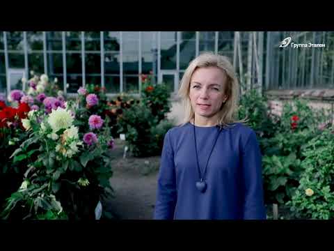 BOTANICA – жилой