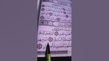 سورة الفيل بصوت الشيخ ماهر المعيقلي