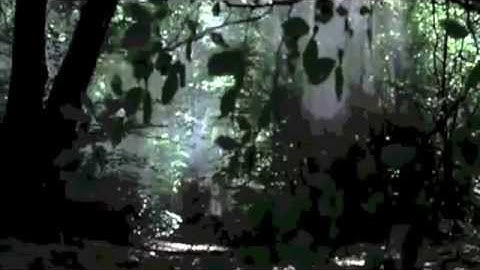 Monty Python and the Holy Grail Gangnam Style