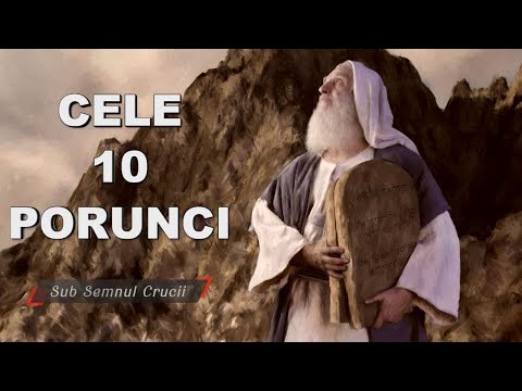 Video: 7 porunci ale unei persoane fericite