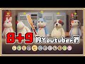 【鬼鬼】一群8+9的Youtuber們打群架🪓【派對動物 PartyAnimals】ft.羽毛、柏慎、秀康、咪嚕、哲平、樓仔、葉子