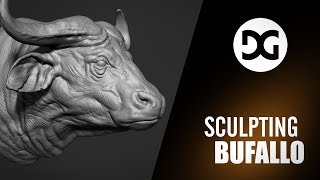 Bufallo Speed Sculpt - Damien Guimoneau