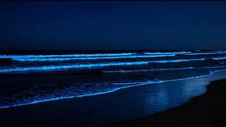 Ocean Waves Sleep Therapy | for Deep Sleep and Overnight Relaxation Beyond Midnight