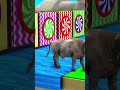 Long Slide Game with Cow Elephant Gorilla Hippopotamus Tiger 3d Animal Game Funny 3d Animals