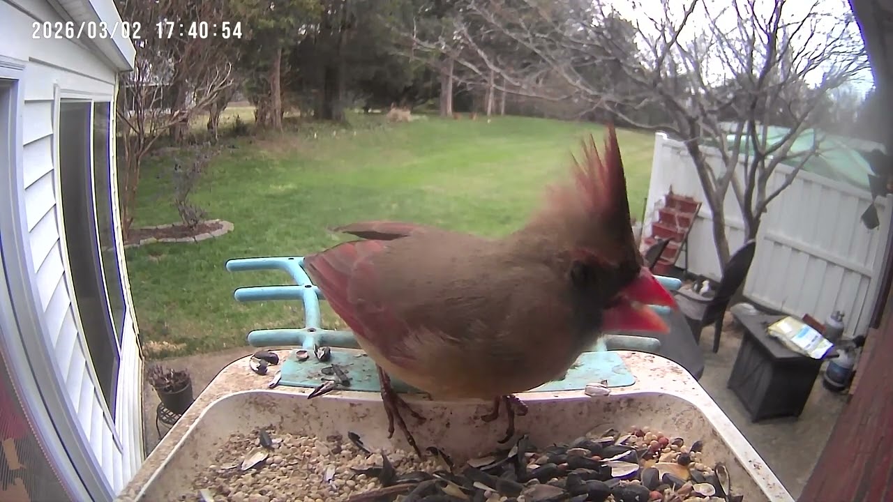 Picking up some bonus miles.