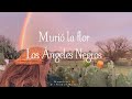 Murió la flor - Los Ángeles Negros [Germaín de la Fuente] [letra - lyrics] HQ 🍊