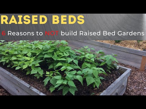 6 Reasons Not to Make Raised Bed Gardens