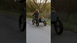 Connie and Ruby the stumpy-tailed cattle dog go for a fall ride in MOD sidecar ebike  #sidecardog