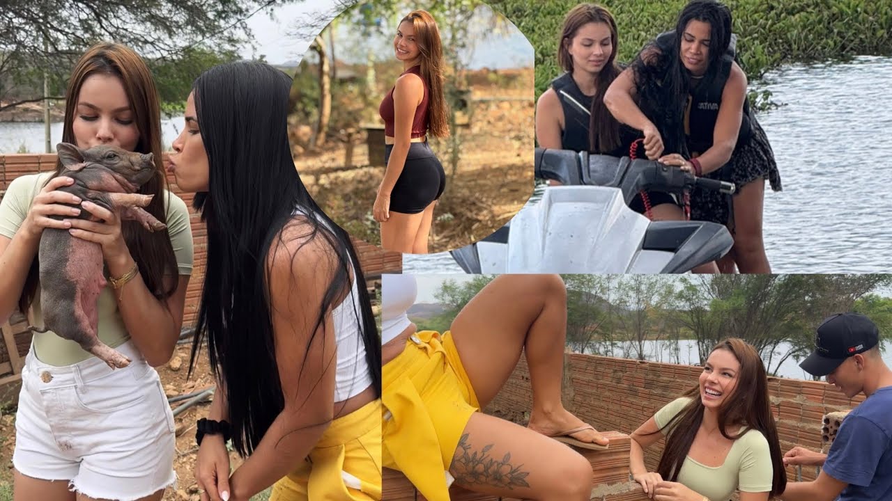 OS PORCOS AVANÇARAM EMCIMA DE NÓS NA CHÁCARA COMÉDIA SELVAGEM 