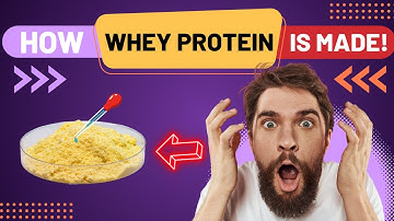 How WHEY PROTEIN is Made In Factories: SECRETS Revealed!