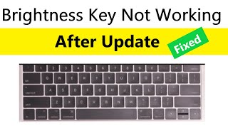 how to fix screen brightness keys not working after update | hp laptop brightness keys not working