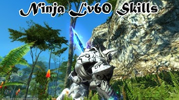 Final Fantasy XIV Heavensward Ninja