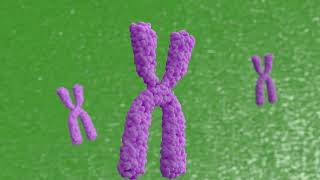 Unraveling DNA Mysteries: Annunaki, Telomeres, and DNA Repair - Unlocking Ancient Mysteries