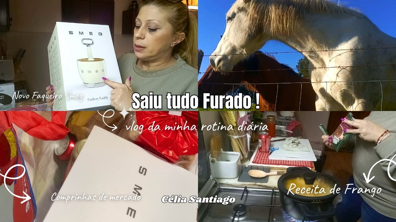 Saiu tudo Furado !  Novo Faqueiro Smeg  (organizei tudo ) , Compras de mercado , Frango de Cerveja